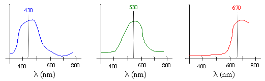 Pitch and Color Recognition